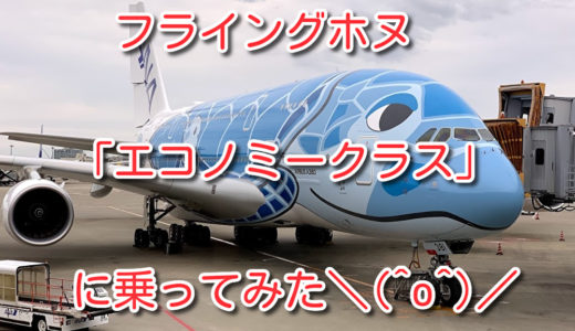 【フライングHONU】エコノミークラス搭乗記とかレビューとか！NH184成田→ホノルル